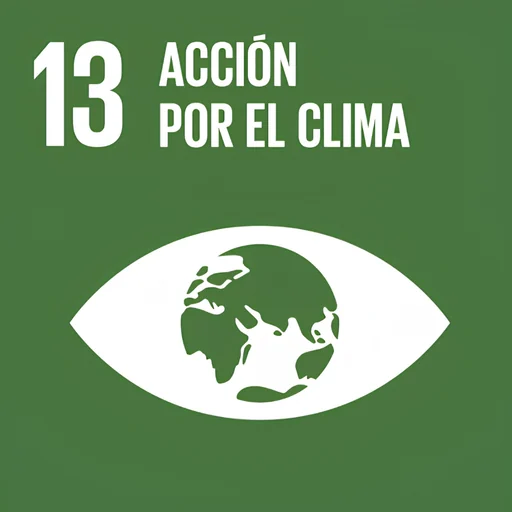 Objetivo de Desarrollo Sostenible 13: Acción por el clima